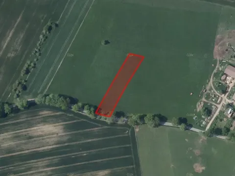 Prodej pole, Nová Cerekev, 2914 m2