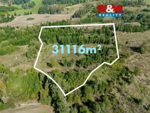 Prodej lesa, Horní Heřmanice, 31116 m2