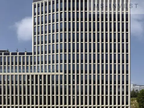 Pronájem obchodního prostoru, Brno, Trnitá, 190 m2