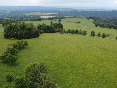 Dražba louky, Říčky v Orlických horách, 1426 m2