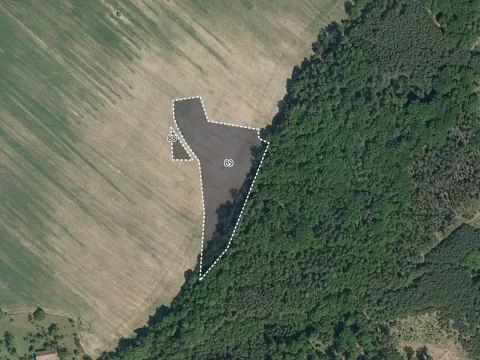 Prodej pole, Morašice, 8621 m2