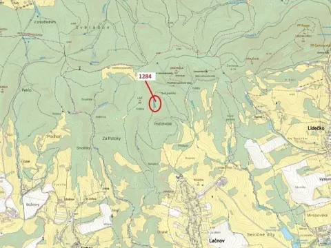 Dražba lesa, Lačnov, 3805 m2