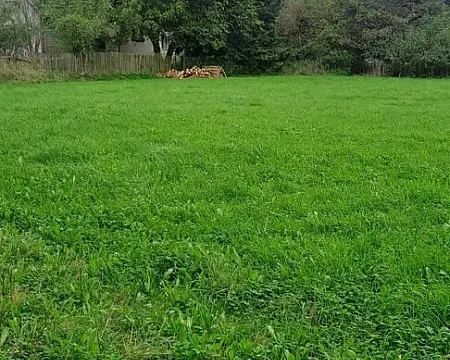 Prodej pozemku, Králova Lhota - Laziště, 2640 m2