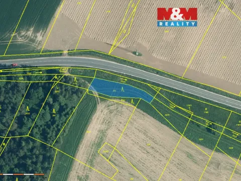 Prodej lesa, Malý Bor, 711 m2