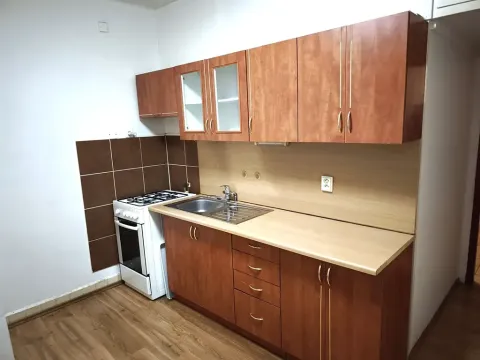 Pronájem bytu 2+1, Slaný, Mírová, 54 m2