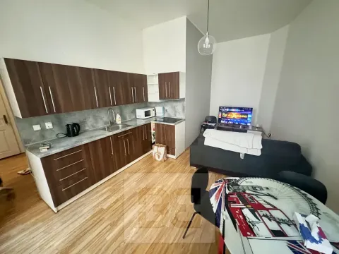 Pronájem bytu 2+kk, Brno, Běhounská, 49 m2