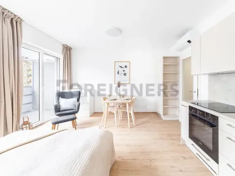 Pronájem bytu 1+kk, Brno, Spolková, 31 m2