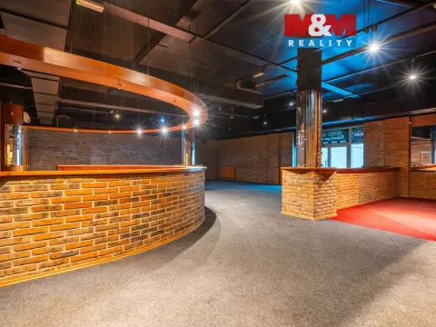 Pronájem obchodního prostoru, Praha, Trnkovo náměstí, 324 m2