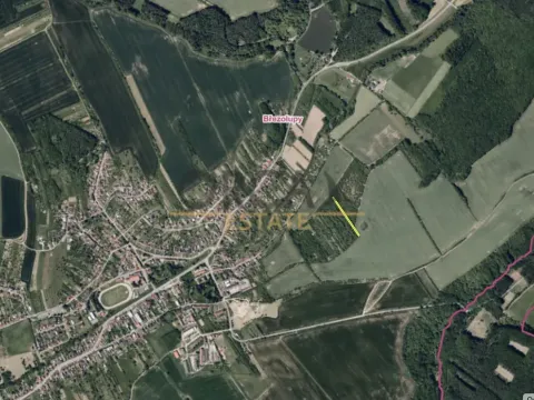 Prodej louky, Březolupy, 1729 m2