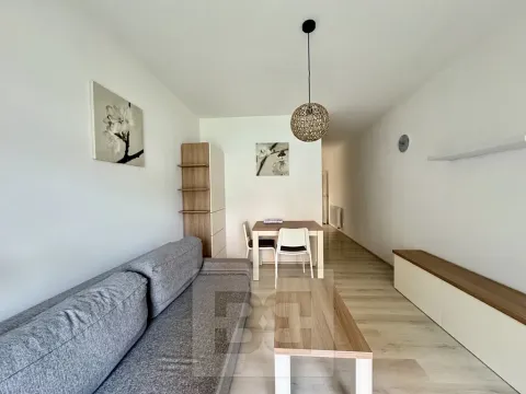 Pronájem bytu 1+kk, Brno, Husovická, 40 m2