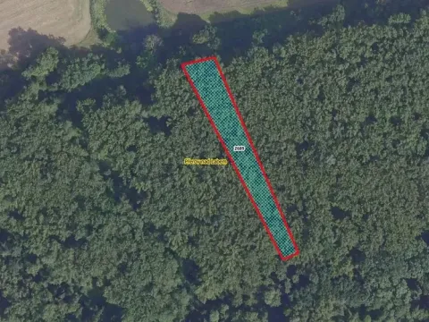Prodej lesa, Přerov nad Labem, 2974 m2