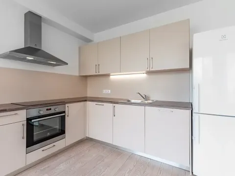 Pronájem bytu 1+kk, Praha - Karlín, Sokolovská, 38 m2