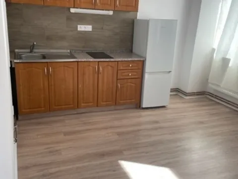 Pronájem bytu 1+kk, Olomouc, Denisova, 25 m2