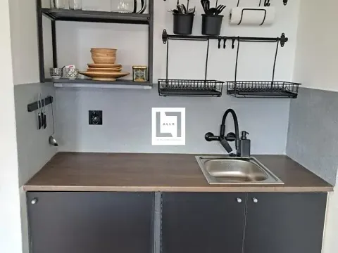 Pronájem bytu 1+kk, Brno, Halasovo náměstí, 24 m2