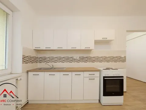 Pronájem bytu 1+1, Ostrava, Palackého, 41 m2