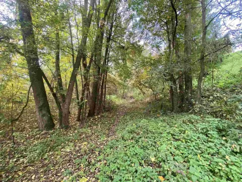 Prodej pozemku, Svijany, 1003 m2