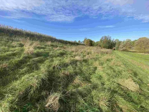 Prodej pole, Svijany, 1263 m2