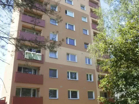 Pronájem bytu 1+1, Nový Jičín, Gregorova, 38 m2