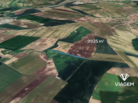 Prodej podílu pole, Bořetice, 4967 m2