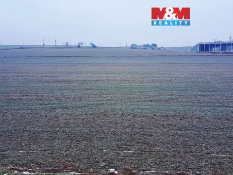 Prodej pozemku pro bydlení, Hrušovany nad Jevišovkou, Drnholecká, 3683 m2