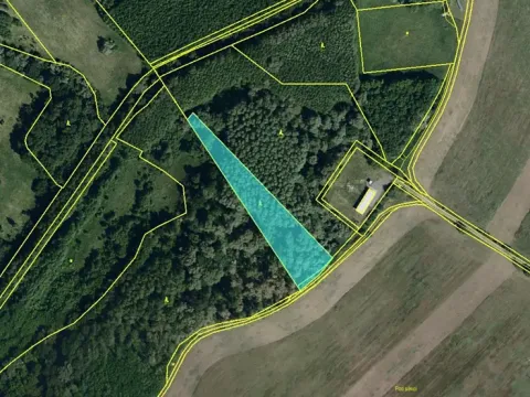 Prodej pozemku, Brod nad Dyjí, 5068 m2