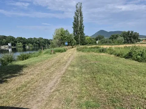 Prodej pole, Píšťany, 5816 m2