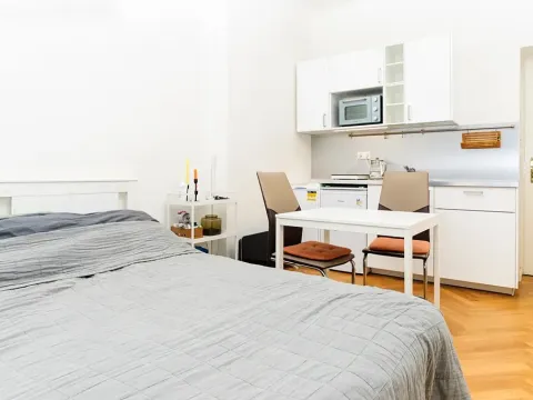 Prodej bytu 1+kk, Praha - Žižkov, Slavíkova, 22 m2