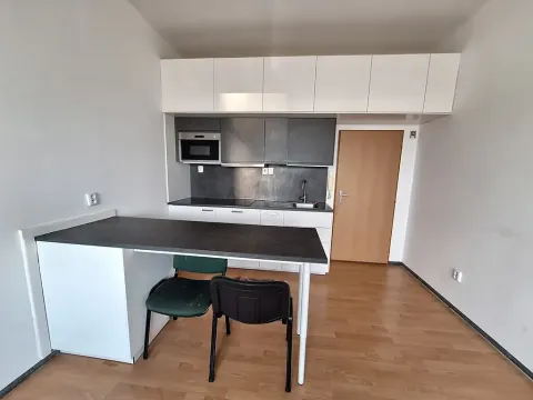 Pronájem bytu 1+kk, Praha - Michle, Jihlavská, 21 m2