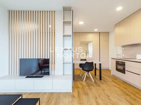 Pronájem bytu 1+kk, Praha - Letňany, Tupolevova, 39 m2