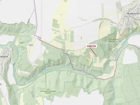 Dražba louky, Ivančice, 41 m2