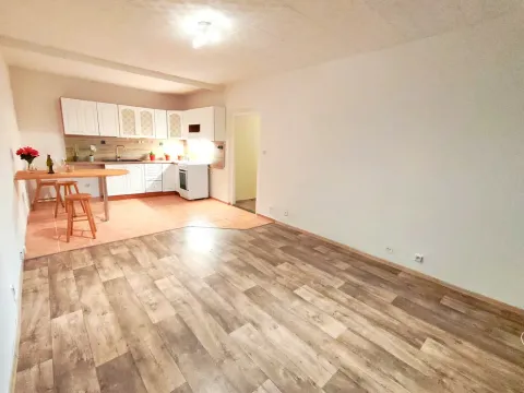 Pronájem bytu 2+kk, Ostrava - Moravská Ostrava, Poděbradova, 60 m2