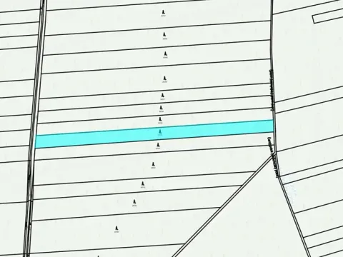 Dražba lesa, Hranice, 4805 m2