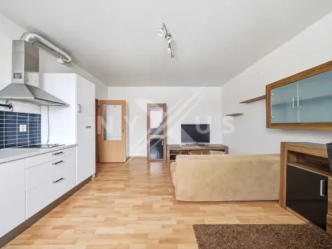 Pronájem bytu 2+kk, Břežany II, 47 m2