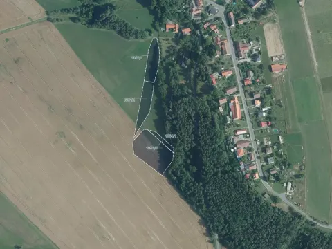 Prodej louky, Skuteč, 8701 m2