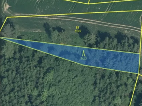 Prodej lesa, Čepřovice, 982 m2