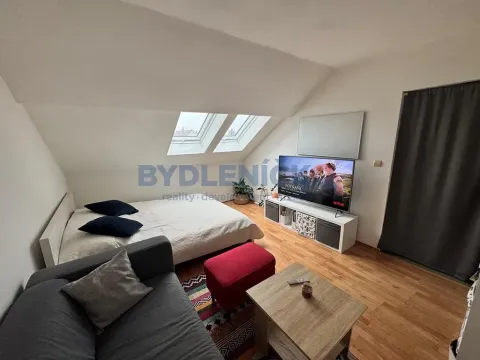 Pronájem bytu 1+1, Třeboň, Strouha, 35 m2