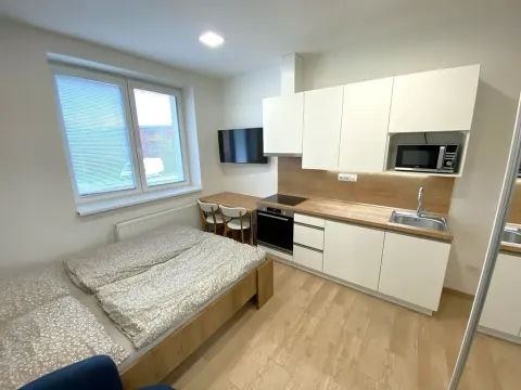 Pronájem bytu 1+kk, Zlín, Štefánikova, 30 m2