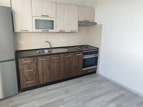 Pronájem bytu 1+1, Ostrava, Ahepjukova, 37 m2