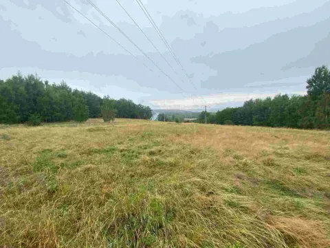 Prodej pole, Nové Sedlo - Loučky, 49321 m2