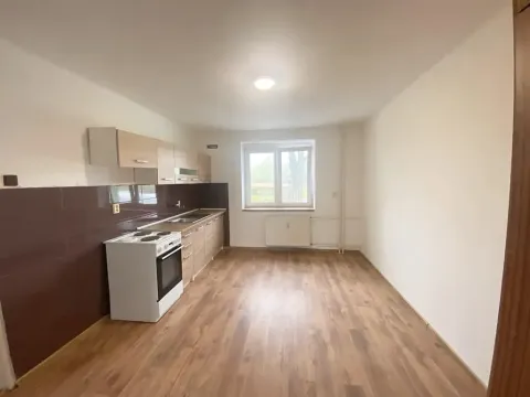 Prodej bytu 1+1, Bor, 32 m2