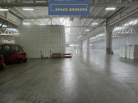 Pronájem skladu, Ostrava, 5800 m2