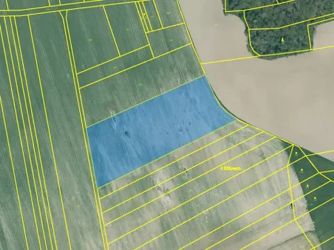 Prodej pole, Střížovice, 12708 m2