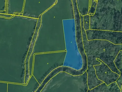 Prodej louky, Přeštice, 8946 m2