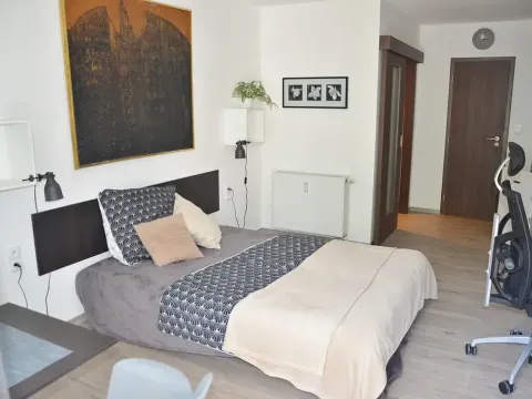 Pronájem bytu 1+kk, Praha - Háje, Tatarkova, 25 m2