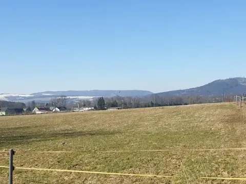 Prodej louky, Police nad Metují, 8999 m2