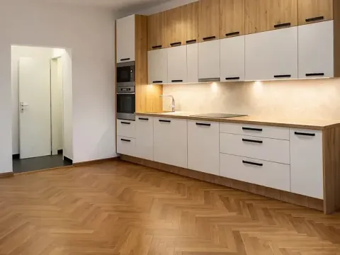 Pronájem bytu 2+kk, Praha - Žižkov, U kněžské louky, 80 m2