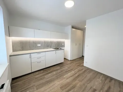 Pronájem bytu 1+kk, Brno, Hády, 18 m2