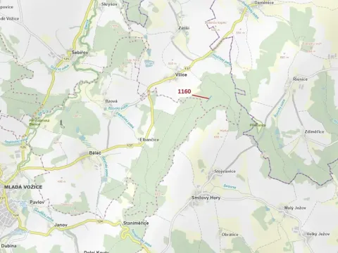 Dražba lesa, Vilice, 2693 m2