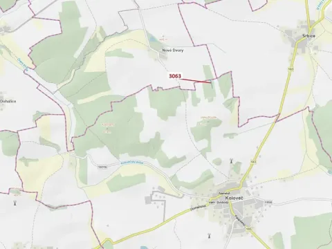 Dražba lesa, Koloveč, 703 m2