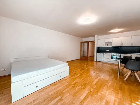 Pronájem bytu 1+kk, Praha - Žižkov, Malešická, 59 m2